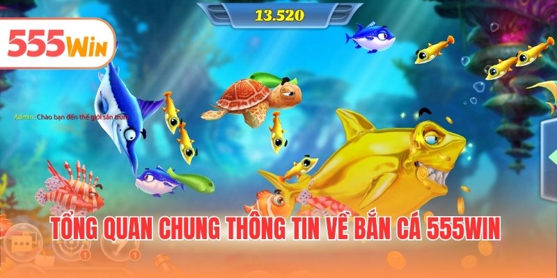 Tổng quan chung thông tin về bắn cá 555WIN
